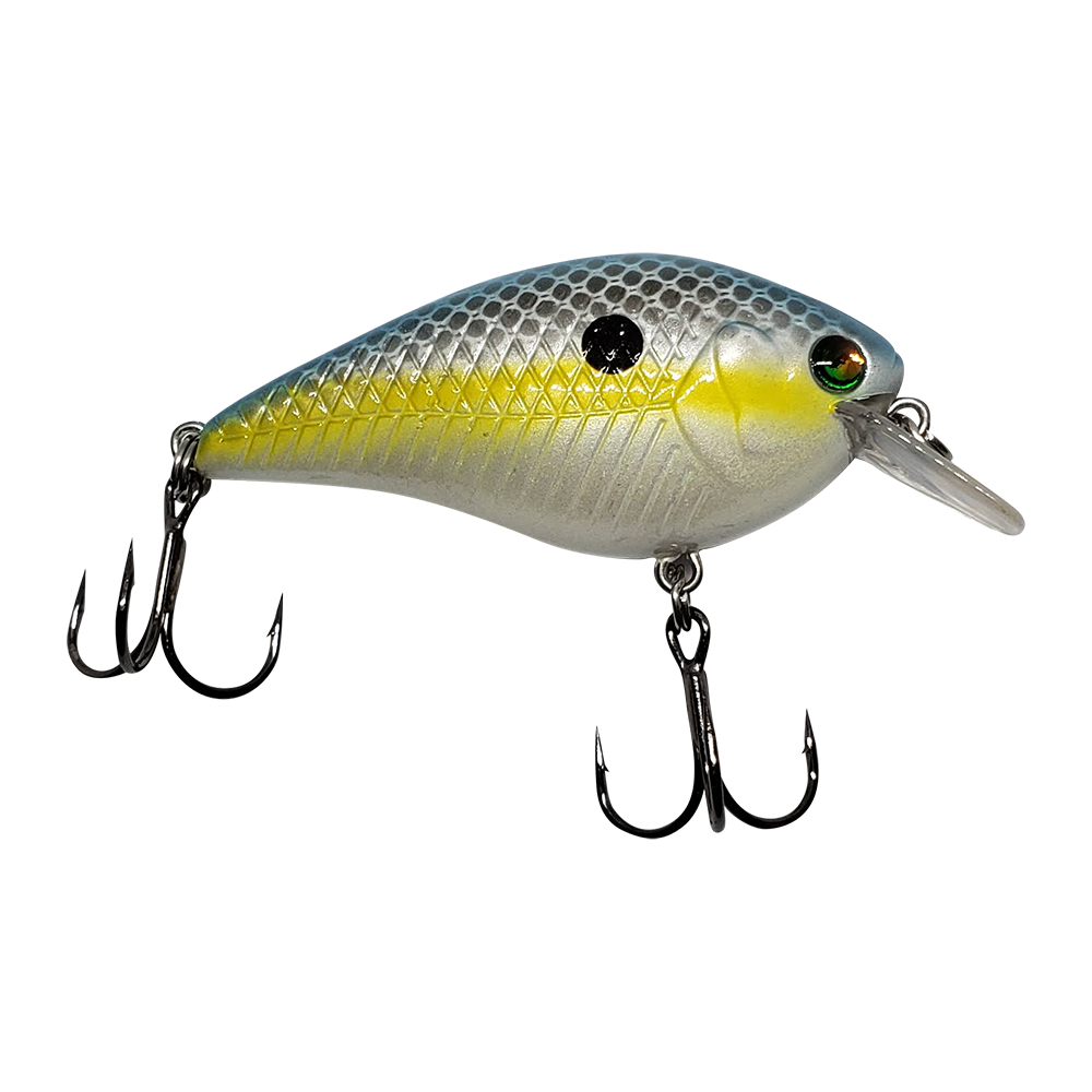 Square Billy - Sexy Shad - Cast Cray Outdoors