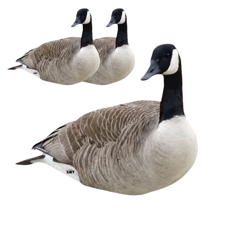 Canadian Goose Forward Face Silhouette Decoys 3 Pack Cast Cray Outdoors