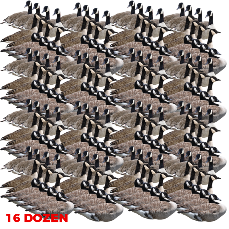 Canadian Goose Silhouette Decoys Pro Guide Pack 16 Dozen Cast